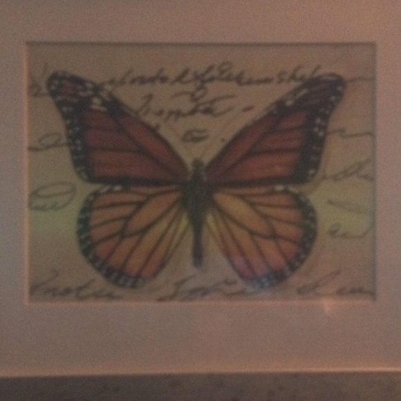 Antique butterfly picture comes with frame and glass - Picture 1 of 1